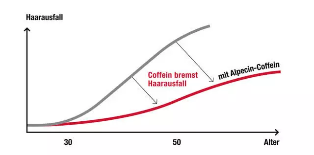 Abbildung eines Graphen, bei dem die y-Achse die Stärke des Haarausfalls und die x-Achse das Alter abbildet; eine steile graue Kurve zeigt den Verlauf von Haarausfall ohne Coffein und eine flachere rote Kurve zeigt den schwächeren Verlauf von Haarausfall mit dem Alpecin Coffein-Complex